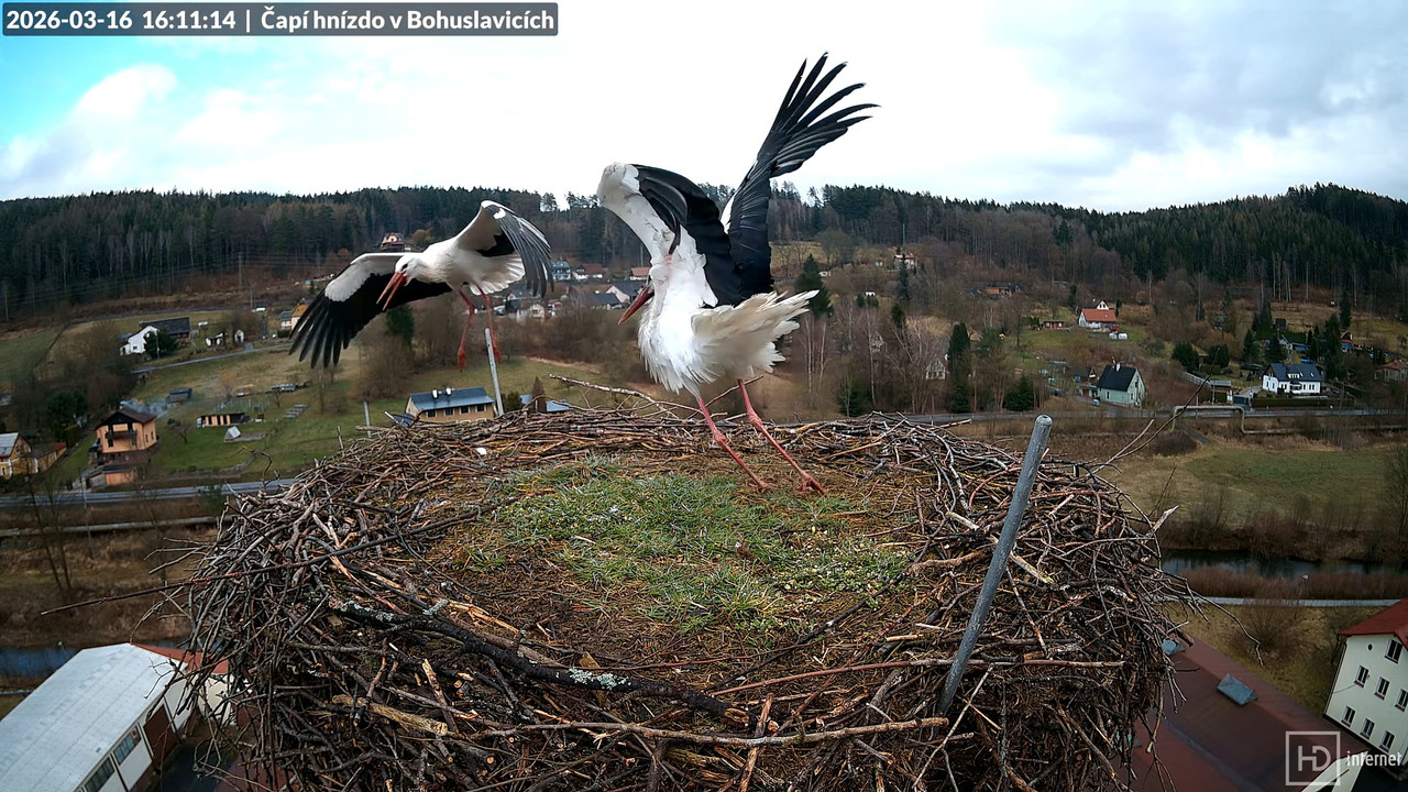 Živě z čapího komína firmy KARA v Bohuslavicích u Trutnova 15 17 39 screenshot (1)