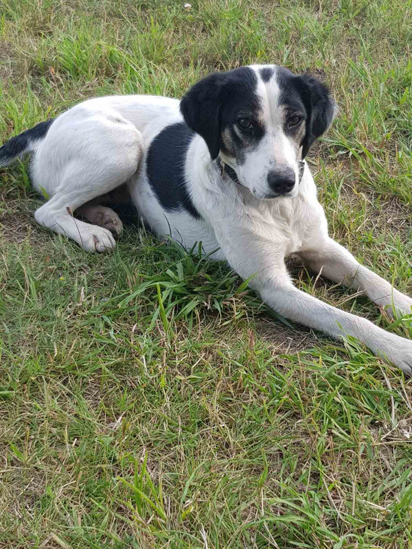 IMG-f9dad17dd9435c9c9cd745ad4093573c-V