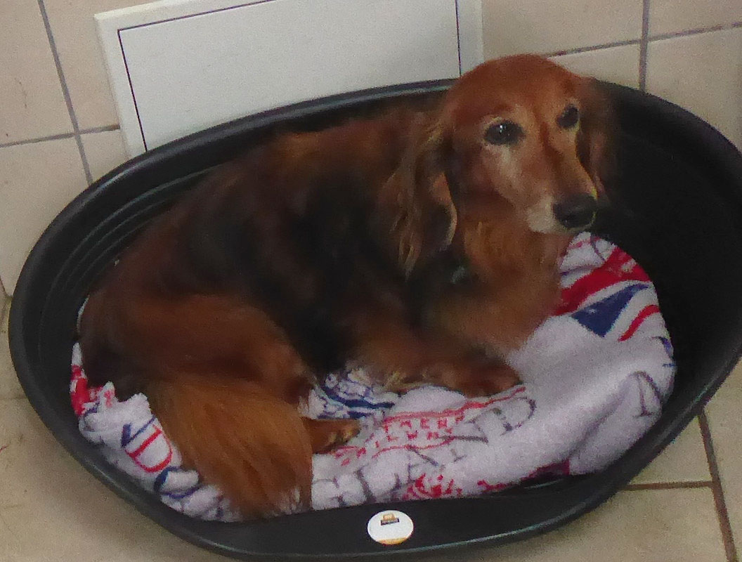 [Image: P1030947.jpg]