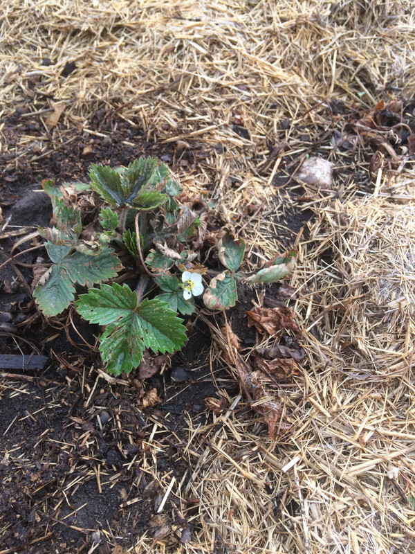 4500A0B0-B0FB-492A-810B-DFF07782808B