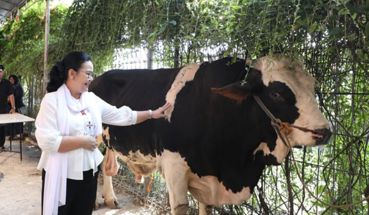 Wali Kota Semarang Agustina Serahkan Hewan Kurban, Tingkatkan Solidaritas