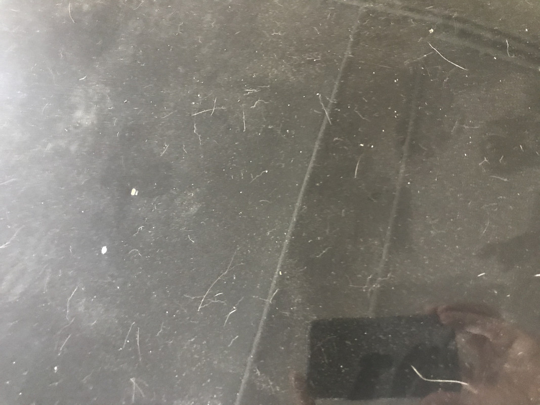 F472C1F8-57E1-4D5D-A027-21FC8F69611A