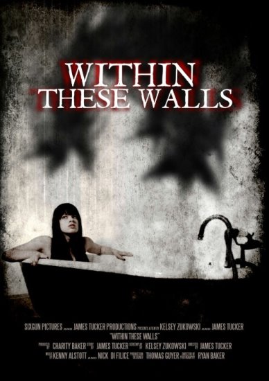W tych ścianach / Within These Walls (2015) PL.WEB-DL.XviD-GR4PE | Lektor PL