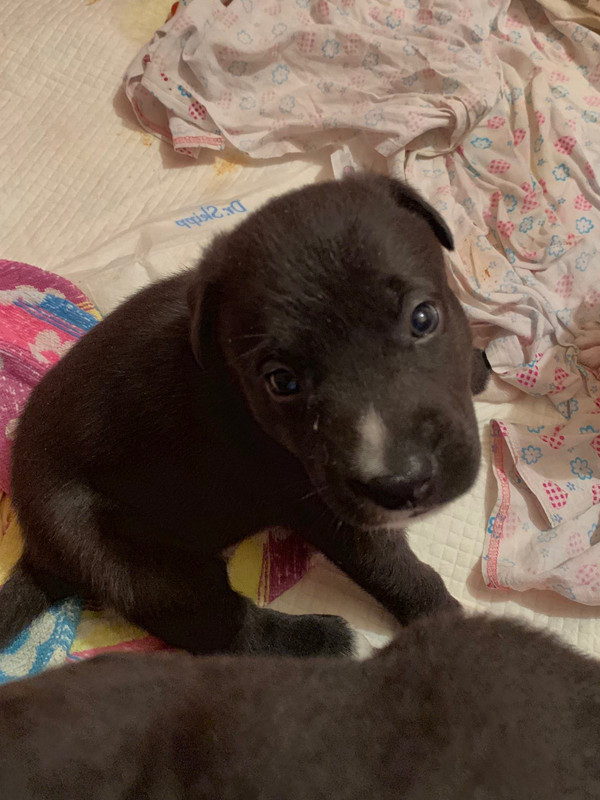 DE17094C-2D9D-43EA-8307-55A731E6351C