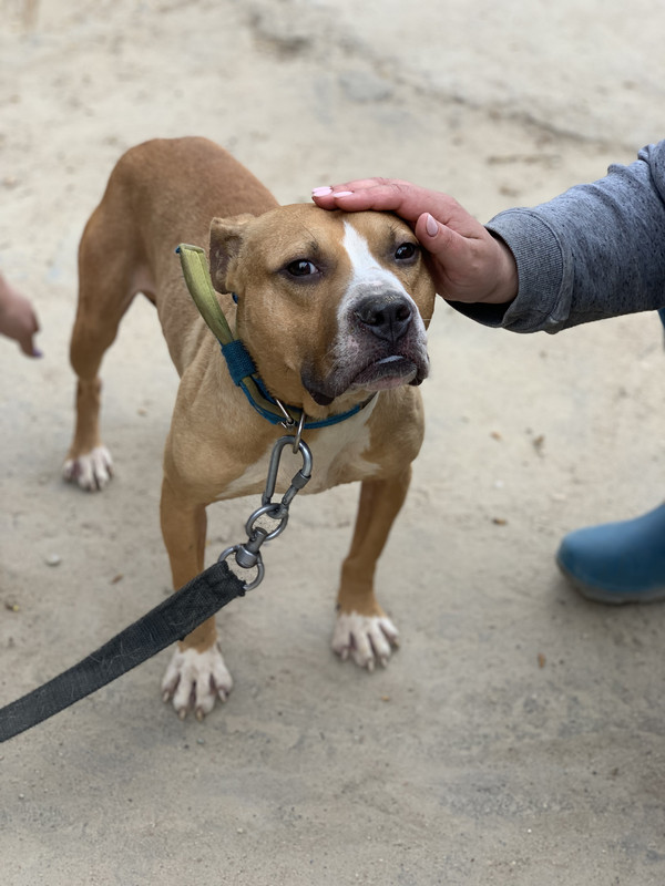 6C66626A-CF2A-4EC5-9115-22A12AAE8D1A