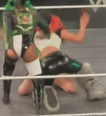 jan28e.gif