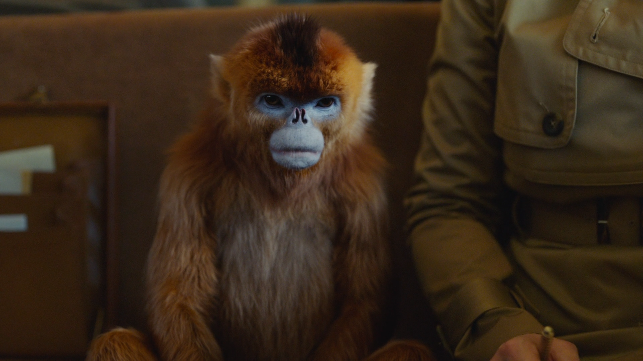 His.Dark.Materials.S01E01.1080p.AMZN.WEB-DL.DDP5.1.H.264-NTb.mkv