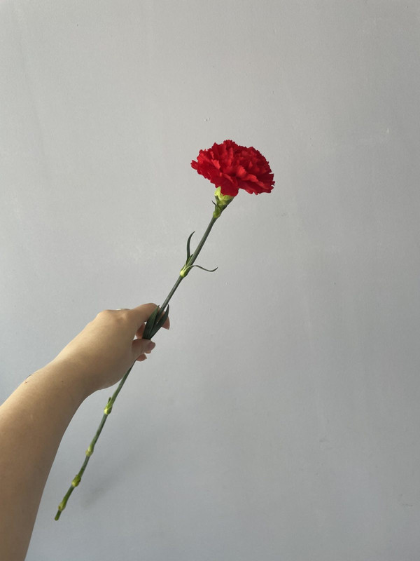 c7f4fb1b550711ed97feeca86bd5a8a0_c17ae855337511eeba58d85ed3f8f05b-scaled