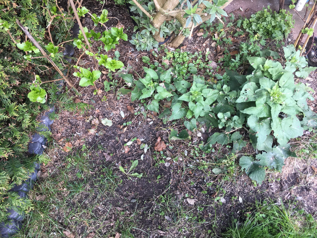 FA97E524-F977-41BD-9F0B-F1630558F255