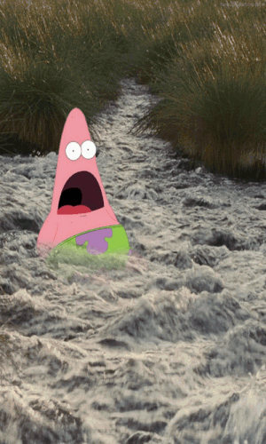 image.gif