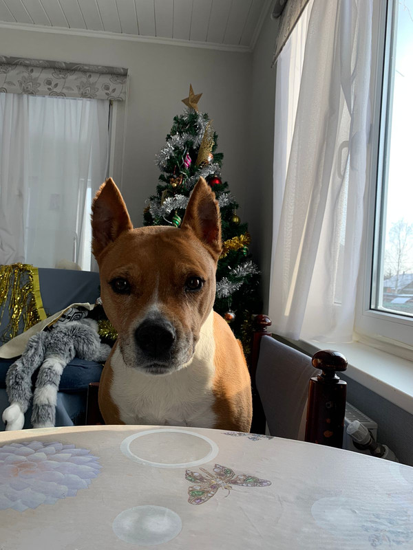 WhatsApp Image 2024-01-03 at 19.46.56 (1)