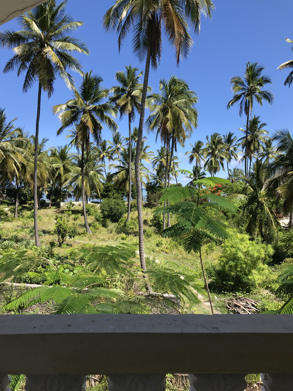 3E4068E0-0227-4C65-8527-E913FC6AD7C3