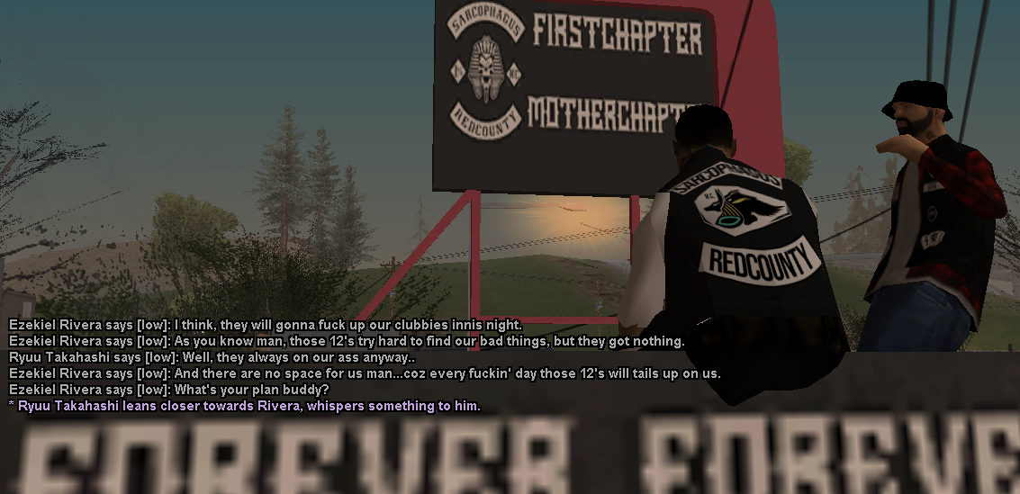 cop4.png