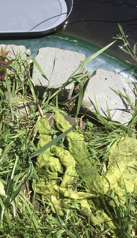 83017BC2-1C9E-4ECE-A88B-92479143673B