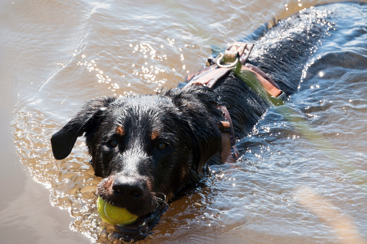 C690B3A5-DACC-4263-9DE1-64D04EC99AB2