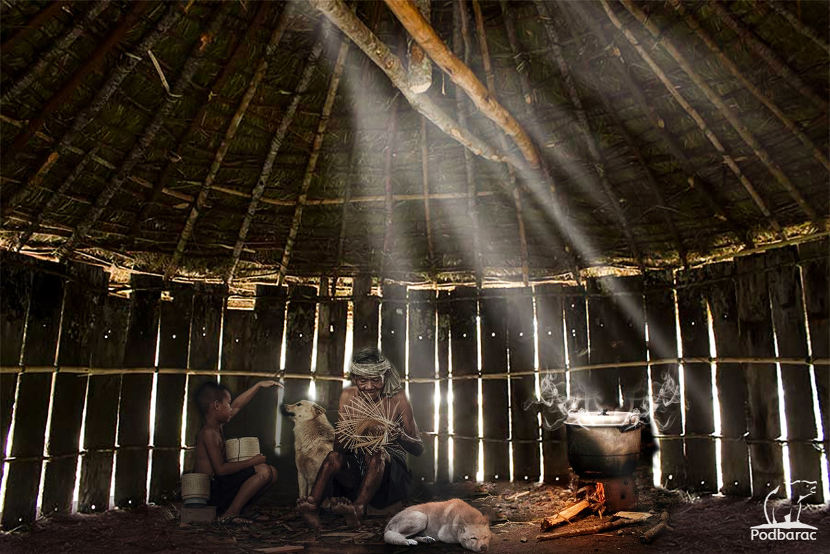 Čiča Tomina koliba