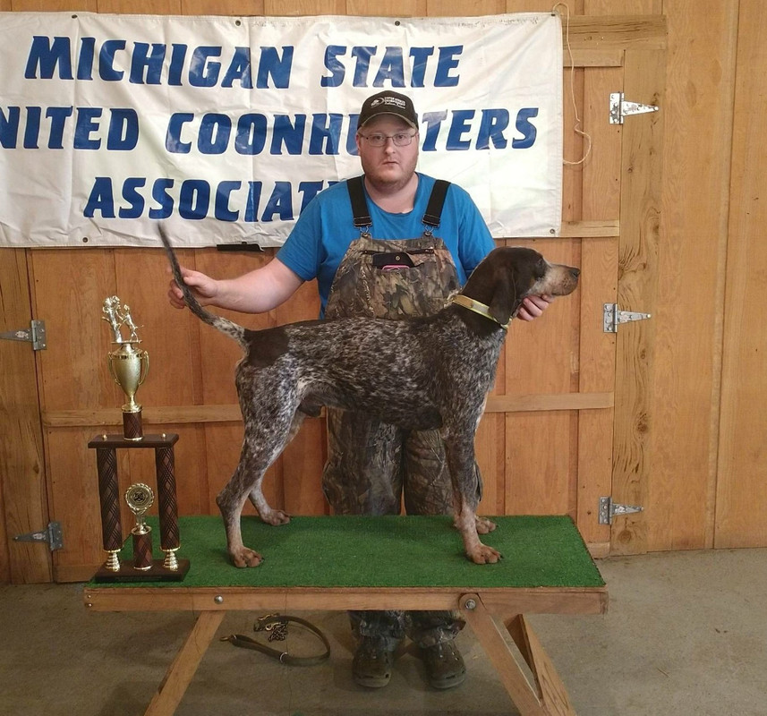 IMG95201805269520365293795LL1-1