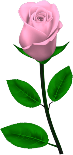 SweetLove_MM_Element (42)