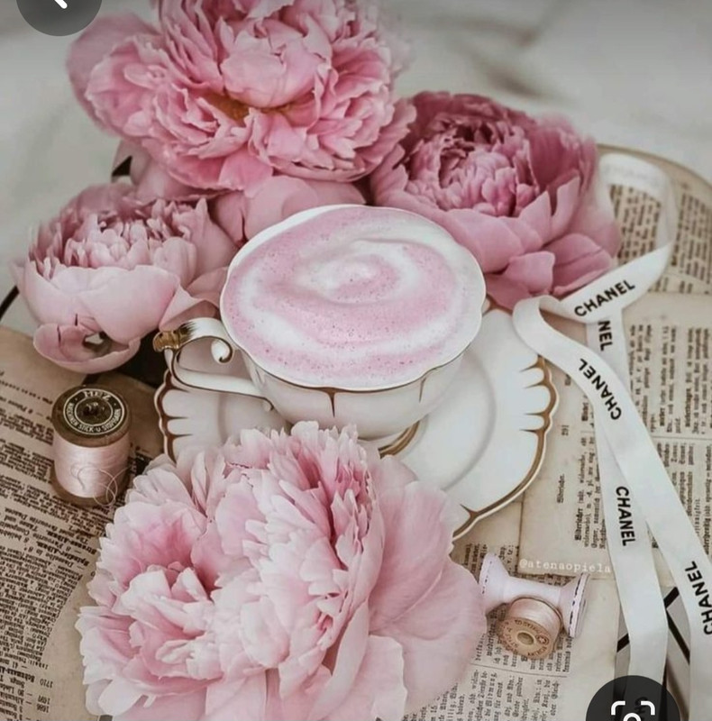 Screenshot_20240206_185302_Pinterest