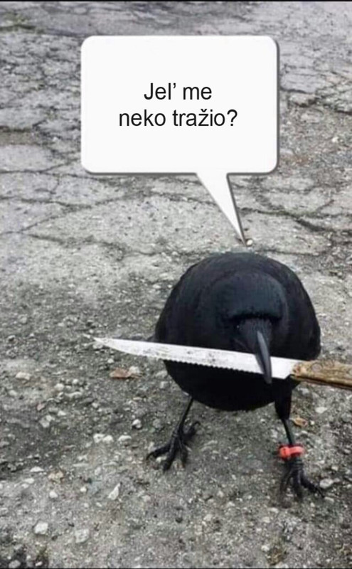 slika