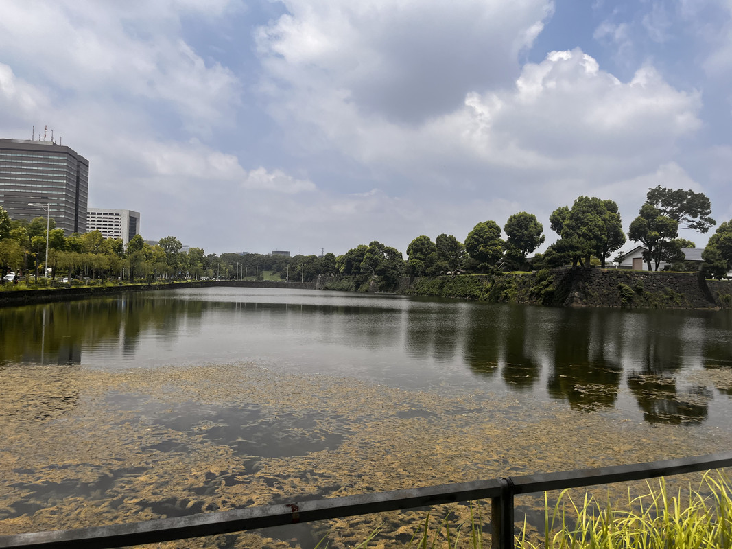 509063BC-C083-44B4-9078-0782E4CB28EC