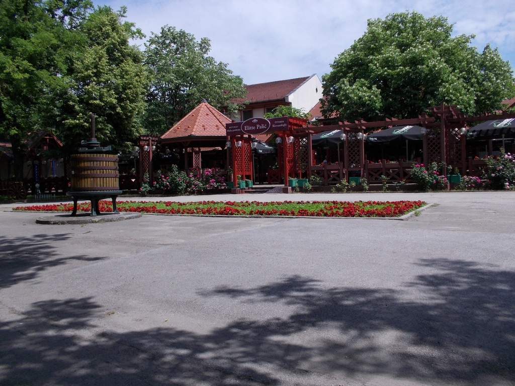 DSCN0286