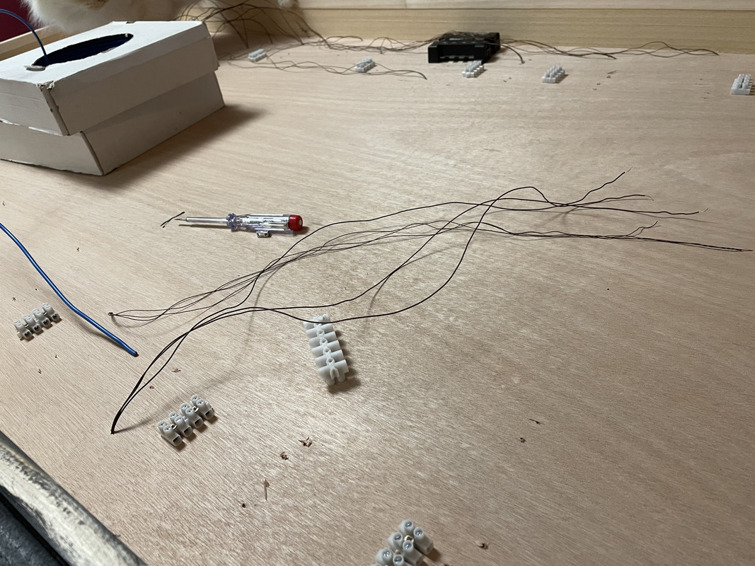 531AF413-8EED-4D60-BC9B-4008623976DD