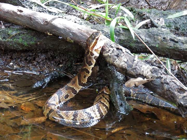 FB_IMG_1502405662323