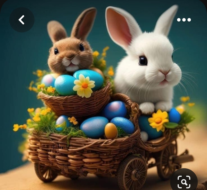 Screenshot_20230415_231752_Pinterest