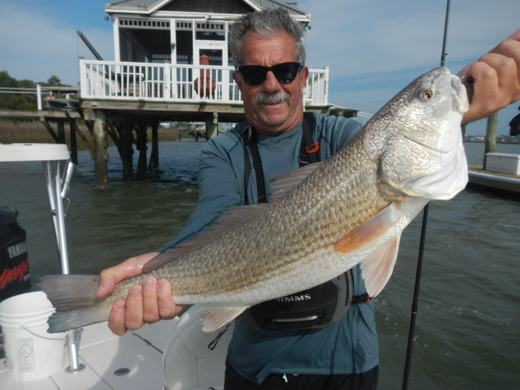 1474A186-3FEA-4EEC-A0DB-A024E18004B0