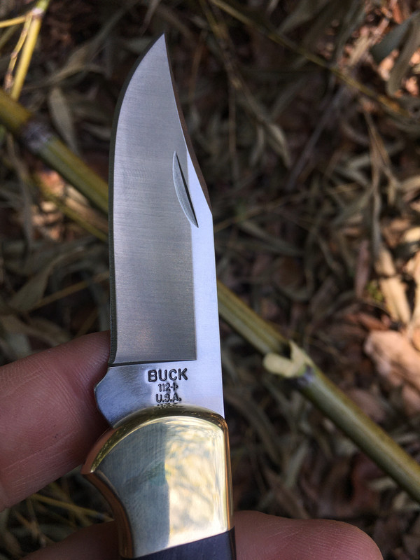 2B01455C-5113-40C8-A95E-D2F58E687006