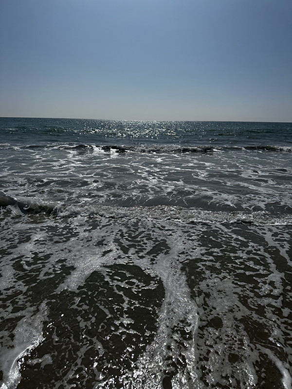 IMG-0401.jpg