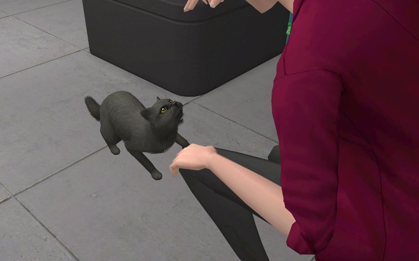 Sims2-EP9-2021-01-15-10-13-51-54