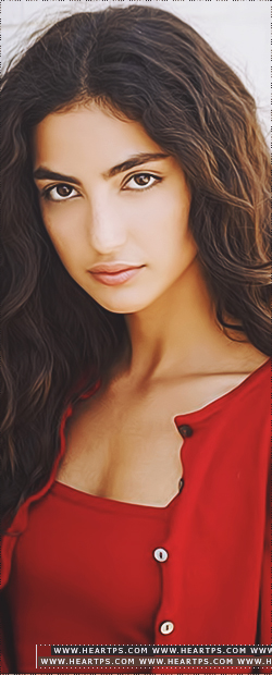 ���� ���� ������ �� ���� ������