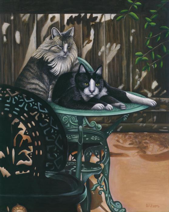 52-lindas-patio-cats-carol-wilson-003