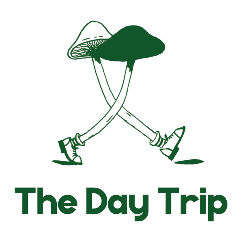 The Day Trip
