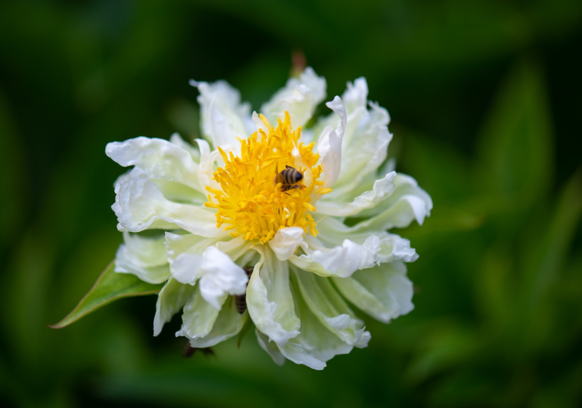 IMG-1fcd28db23f6e5ab9cbc4f023be84747-V