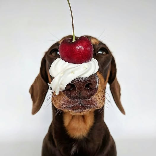 [Image: 475524295-122202318662233073-4071591128176840693-n.jpg]