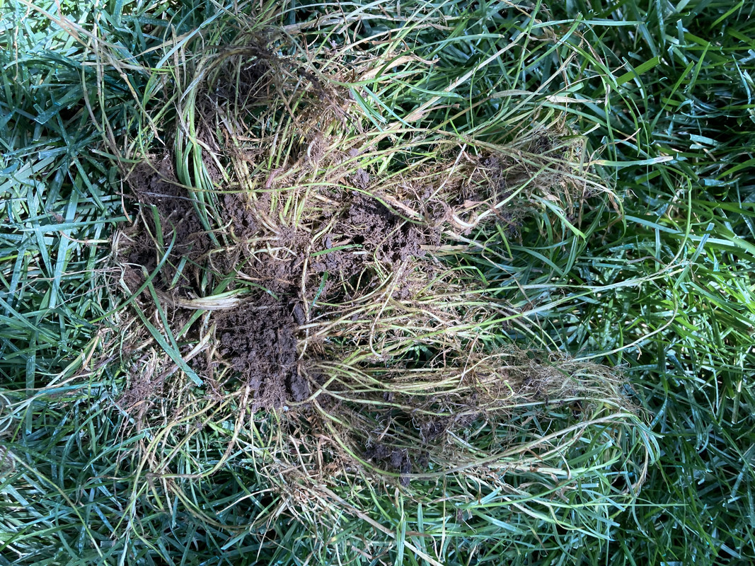 6937C4B1-F5C8-4099-81B9-70E0F1E57404