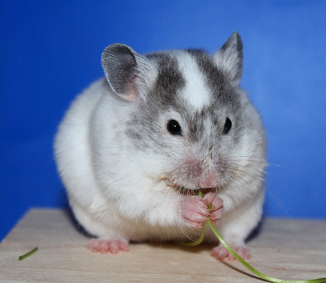 Арктика 21.04.22-02