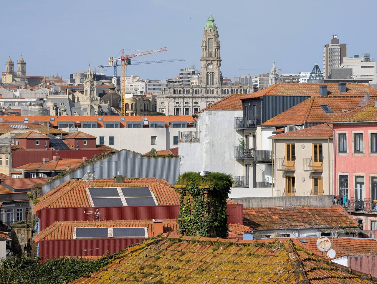 641532957 25577582395274723 2622449859343455810 n