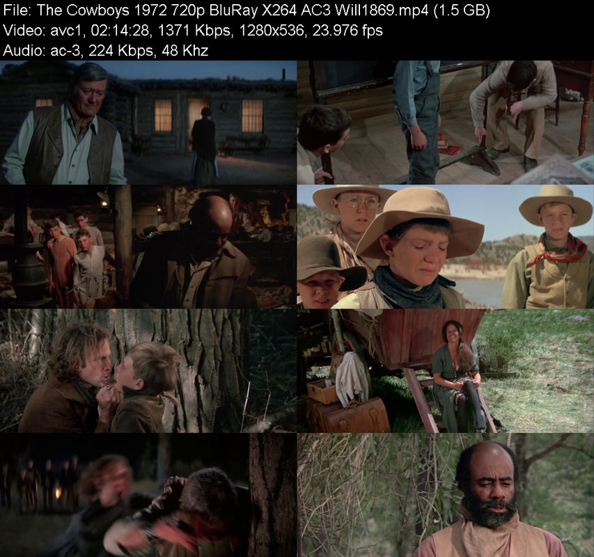 the-cowboys-1972-720p-bluray-x264-ac3-wi
