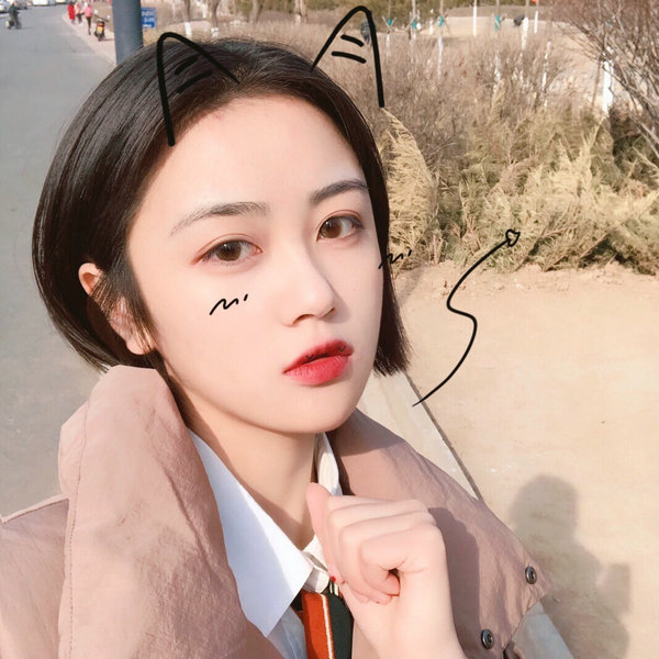 147SEO：揭秘高效网站优化策略，助力企业提升在线竞争力