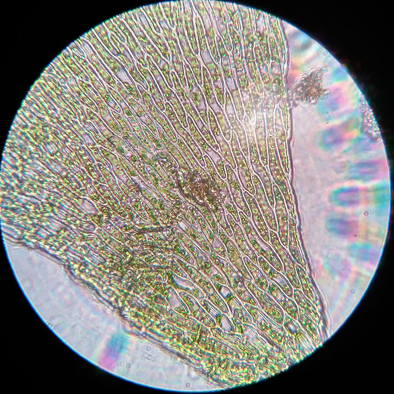 IMG 20250616 220952 HDR