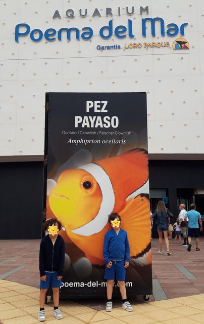 Gran Canaria 2022 - Blogs de España - Las Palmas de Gran Canaria, el acuario Poema del Mar. (4)