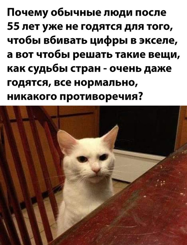 17184097.jpg
