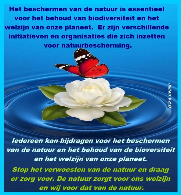 Beschermen-van-de-natuur
