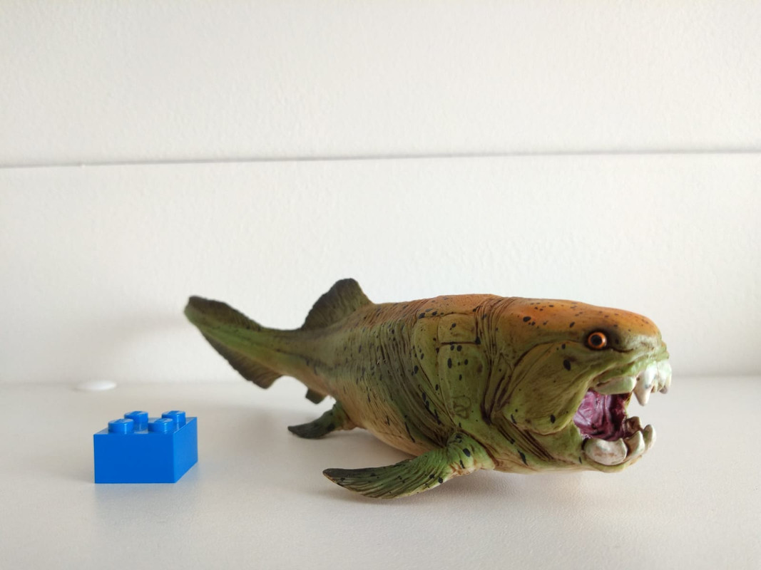 mojo - Mojo Fun 2019 animals. photos. Mojo-Fun-Dunkleosteus-2