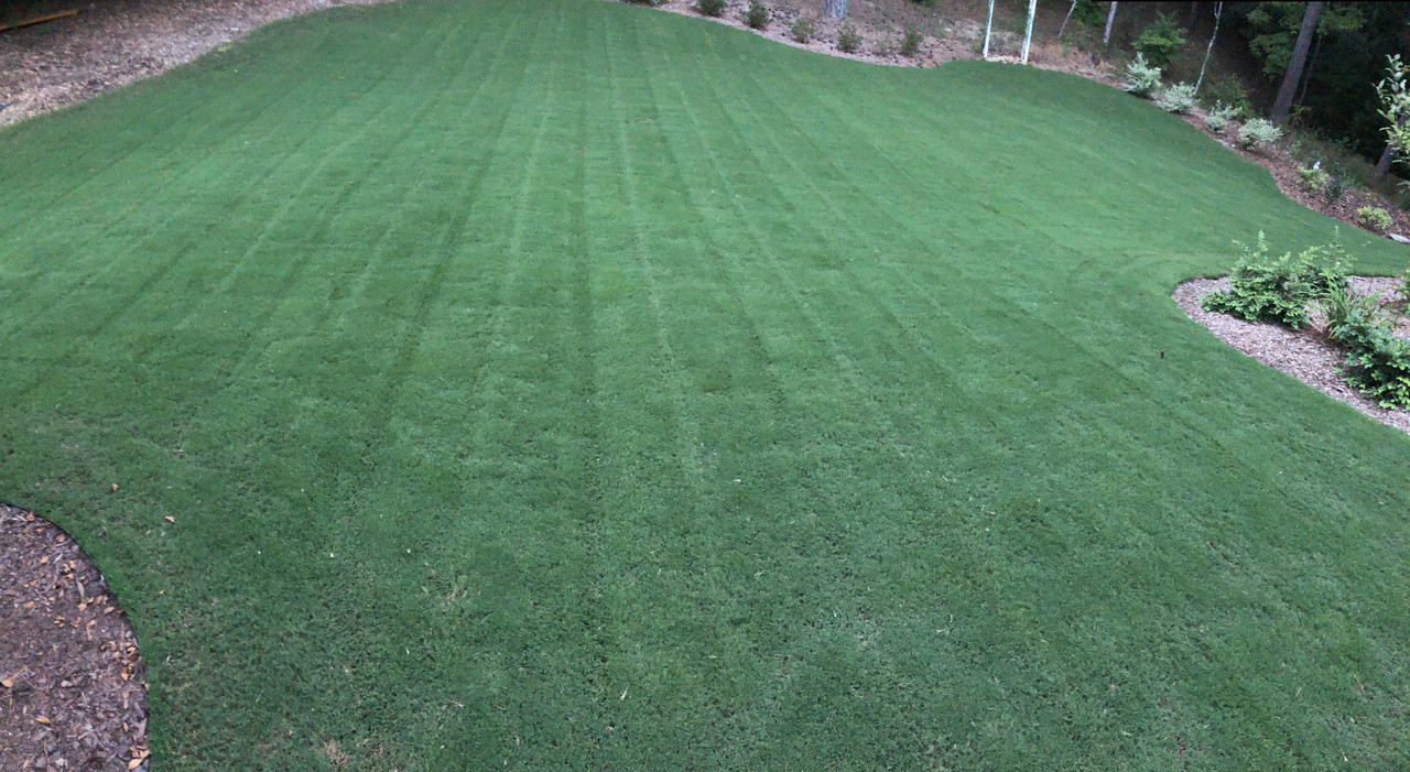 3I1zbiFsQWGzRVR1qrwIag