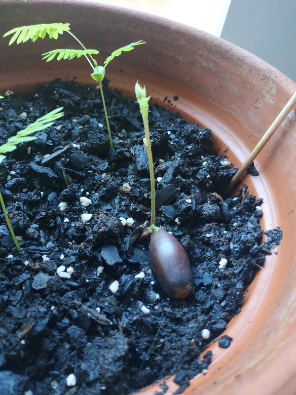 WhatsApp Image 2020-05-27 at 13.33.05 (1)